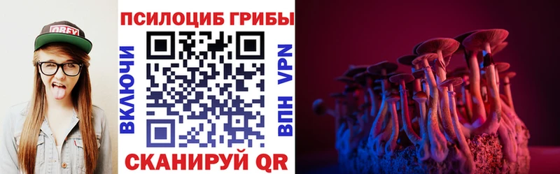 площадка клад  Кудымкар  Псилоцибиновые грибы мухоморы 